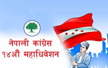 कांग्रेसको जिल्ला अधिवेशन : मतगणना सुरु हुँदै